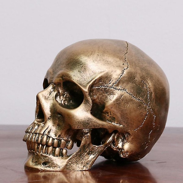 Menneskelig bronzeharpiks-kraniemodel Medicinsk Halloween Realistisk 1:1 statueudsmykning (1 stk, guld)