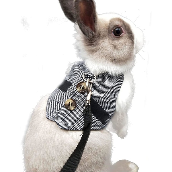 Justerbar kostymsele för kanin, sele och koppel för smådjur för smådjur Kaniner Hamstrar Catsgray L