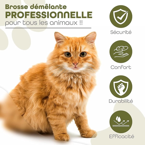 Provence Långhårig katt- eller hundvårdsborste med 10 påsar. Avtrasslande dubbelbladig husdjursborste för att ta bort underull, knutar och borsta ditt husdjur på ett säkert sätt