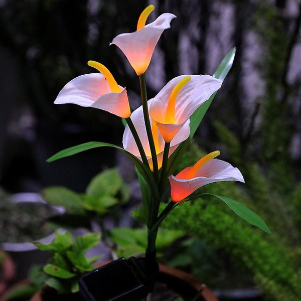 Solar Horseshoe Lotus gulvlampe（rød）
