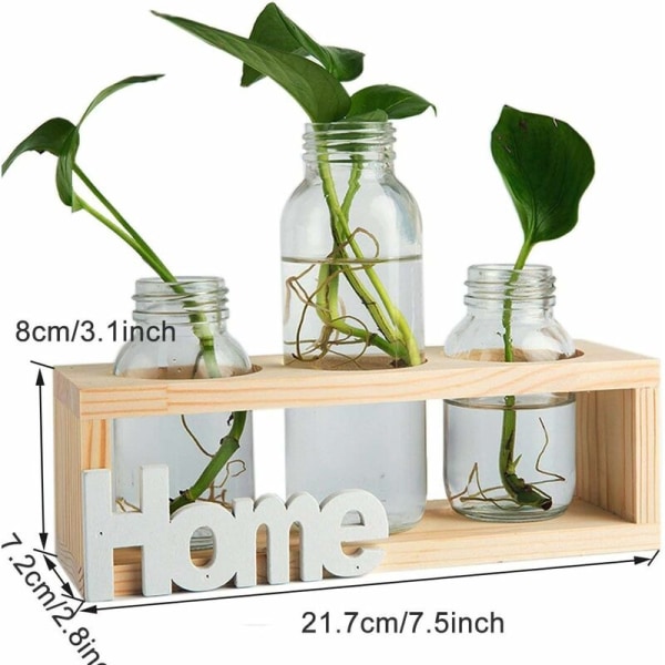 Vaso cilindrico in vetro da 3 pezzi, vaso per fioriera da tavolo in vetro med stöd i legno massello retro per piante idroponiche