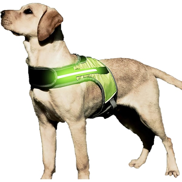 Led självlysande hundsele Husdjur Bröstrem Säkerhet Reflekterande krage Andas mjukt mesh för utomhus promenadträning(XL)