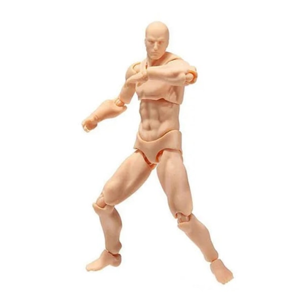 Mandlig kvindelig kropsfigur legetøj Bevægelige led Tegning mannequin figurmodeller til børn Videnskabeligt kognitivt legetøj (mand, hudfarve)