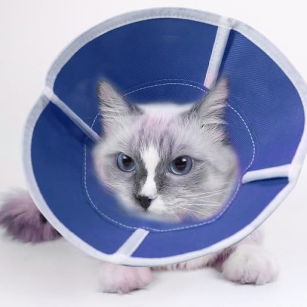 Anti-Bit Protection Cone Halsband Hundar Cat Blue M, Justerbar Nack Cone Protective Protective Collar