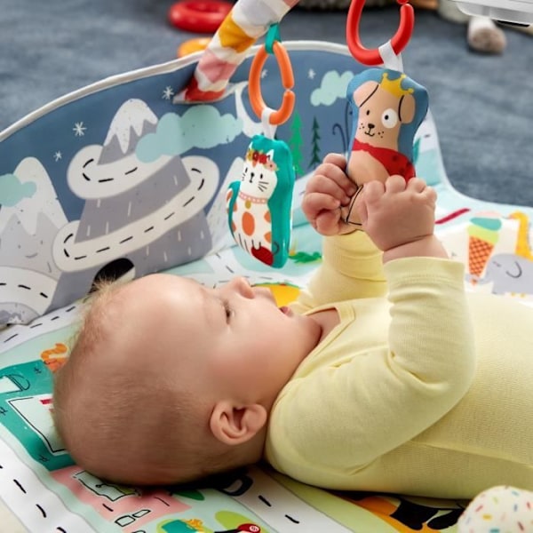 Fisher-Price - Mit Søvnplan - Fra fødslen Flerfärgad