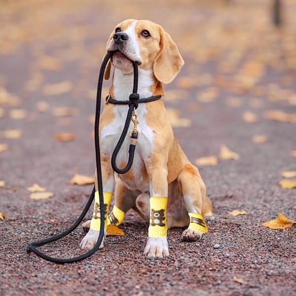 4-pak bløde benvarmere til hunde - strikket hundetøj til hvalpe og katte blå M Blå Blue M