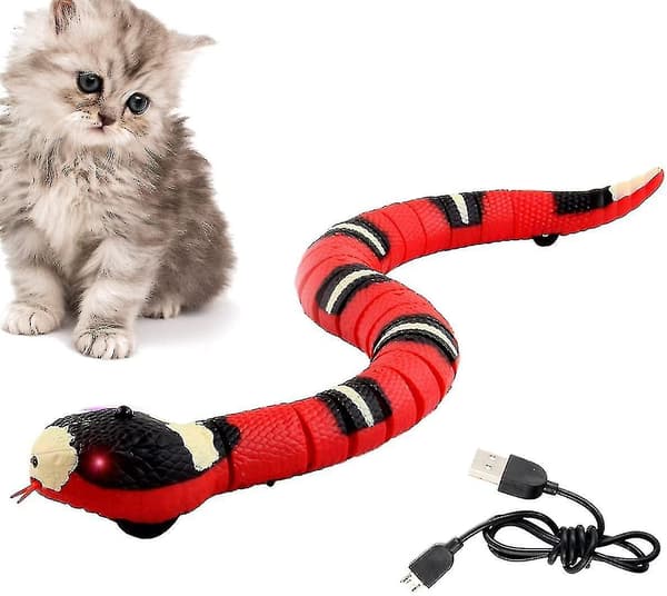 pc. Kattleksak Orm, USB Smart Leksak Orm, Elektrisk Ormleksak, Intelligent Avkännande Orm Kattleksaker, Interaktiv Kattleksak Orm, Katt Smart Avkännande Leksaker