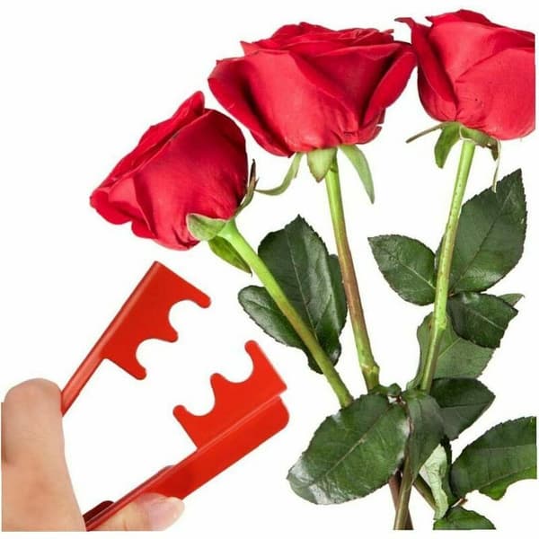 pc rosetornfjerner, metaltornfjerner, rosenbladfjerner, rosentang, haveredskab, gratfjerner