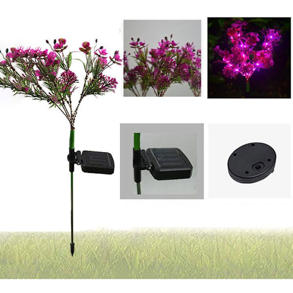 Solar Phalaenopsis Trädgårdslampor Utomhusdekoration för Gård, Trädgård, Gräsmatta, Gångväg (2 st)