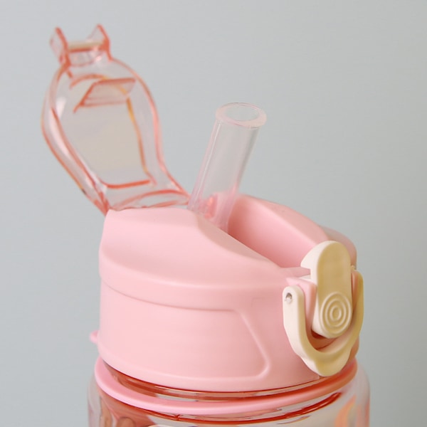 Labubu 750ml Vattenflaska Kawaii The Monsters Barn Sugrörskopp Bärbar Stor Kapacitet Utomhus Sport Labubus Vattenflaska Gåvor pink