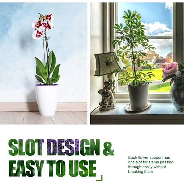 6-pack växtstöd för blommor, metallstöd för enskilda stjälkar, trädgårdsstöd för amaryllis, orkidé, lilja, ros, tomater, mörkgröna