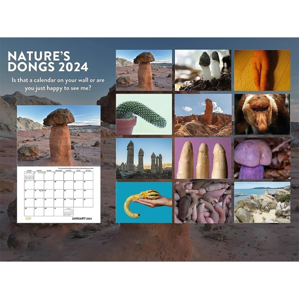 Nature's Dick Pics Väggkalender Hängande konst Hemkontorsinredning