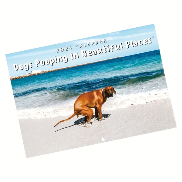 2024 Beach Dog Calendar Väggkalender Art Heminredning
