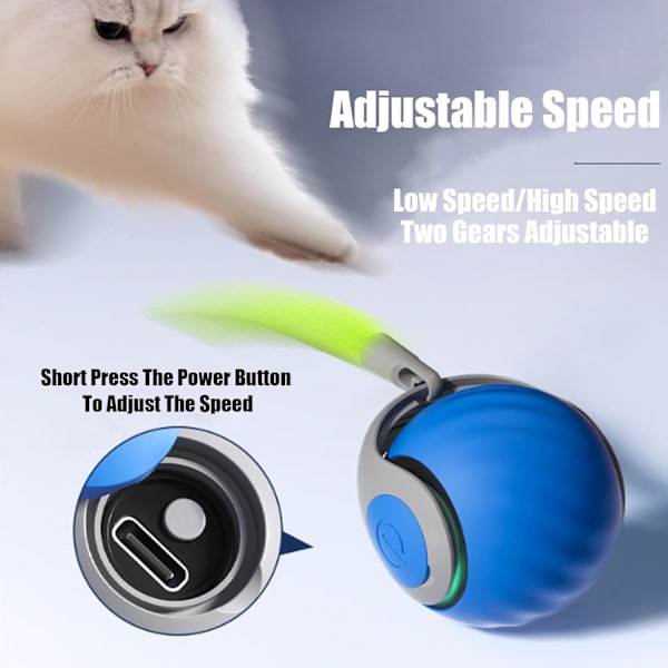Interaktiva Katt Leksaker, USB Laddningsbara Automatiska Rullande Bollar för Innekatter Blue