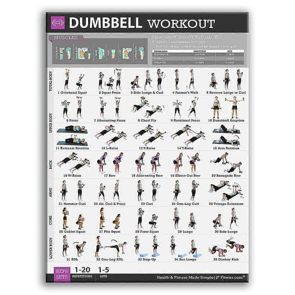Learning Dumbbell Workout Exercise Poster Laminated Free Weight Bodybuilding