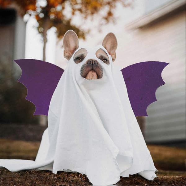 Rollspil Flagermusvinger Bløde og Behagelige Stoffer til Halloween-festfavoritter Gaveudveksling Sort