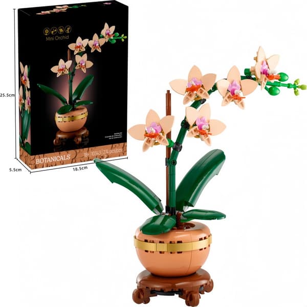 Orkidé, julegaveidé til kvinner og menn som liker planter, blomstermodell, julegave til voksne