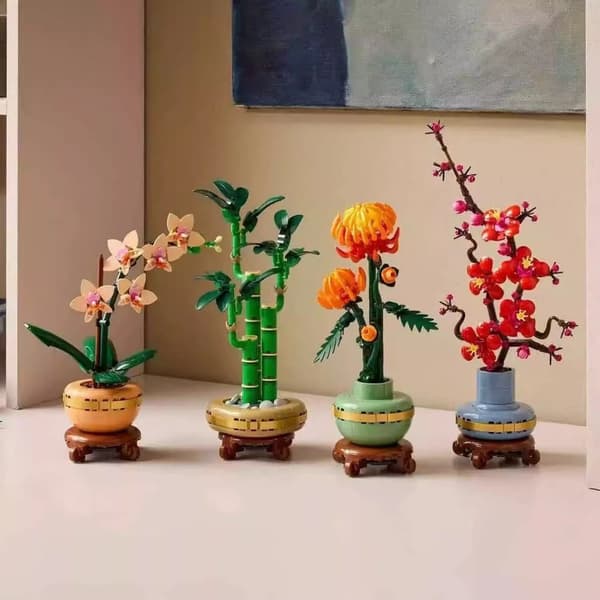 Orkidé, julegaveidé til kvinner og menn som liker planter, blomstermodell, julegave til voksne