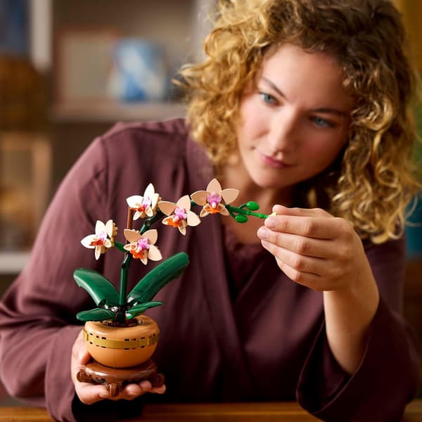 Orkidé, julegaveidé til kvinner og menn som liker planter, blomstermodell, julegave til voksne
