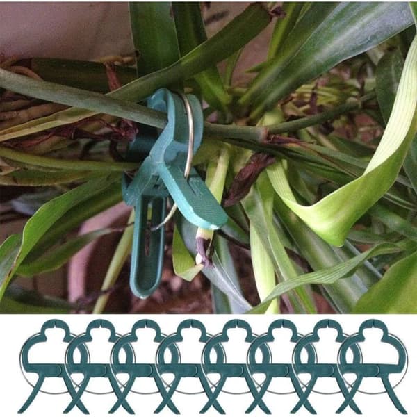 100 Pcs Plant Clips, Spring Clips Plant Support for Tomatoes and Vines