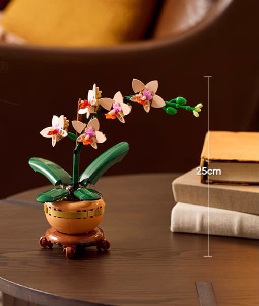 Orkidé, julegaveidé til kvinner og menn som liker planter, blomstermodell, julegave til voksne