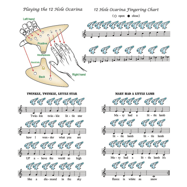 12 reikää pyöreä pää, keraaminen Ocarina Alto C käsinmaalattu soitin kaulanauhalla Music Score suojapussi musiikin ystävälle ja oppijalle Blue Flower