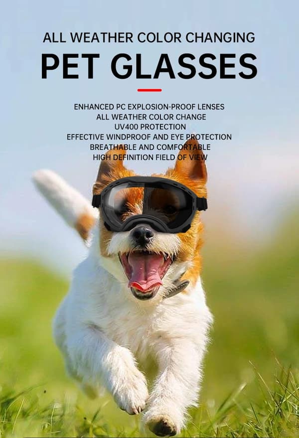 Hundebriller, UV 400-beskyttelse for store hunder (blå)