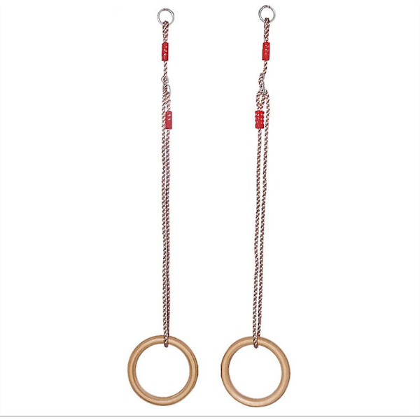 Professionell Gym Ring Gym Ringar Gymnastik Fitness 120 Kg