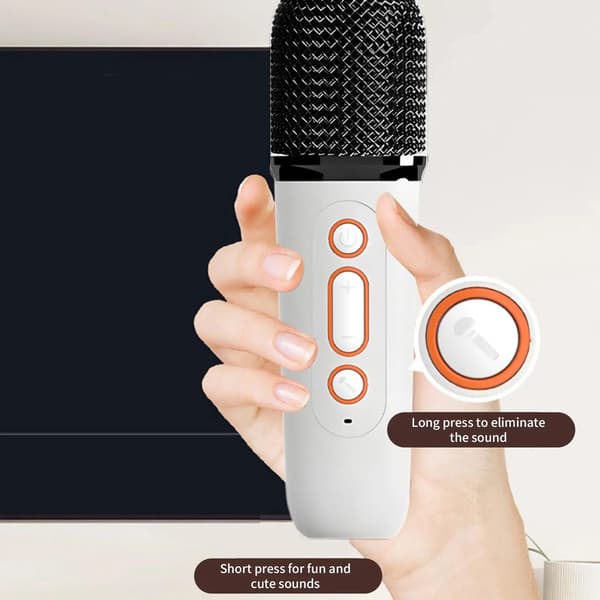 Bluetooth-karaokekaiutin kahdella mikrofonilla, RGB-värikäs valostereo