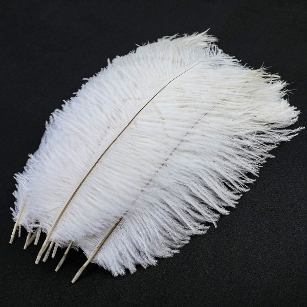 10 stk Naturlige strudsefjer, strudsfjer-fane til bryllupsfest Festival dekoration (hvid, 25-30 cm)