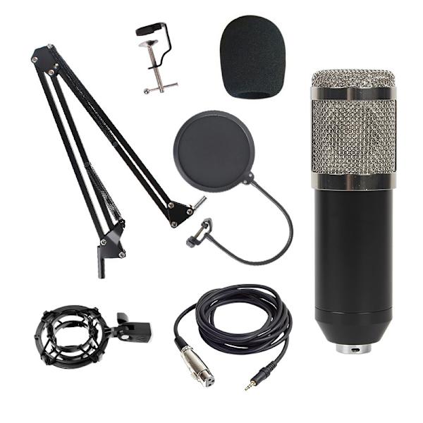 BM800 kondensatormikrofon set datorinspelning anti-pop Rund nät set silver