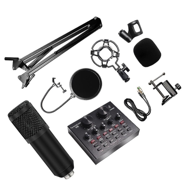 Professionelt indspilningsstudie Audio Interface Optagelse Ekstern Live Bm-800 Karaoke Mikrofon V8 Lydkort Kondensator Mikrofon