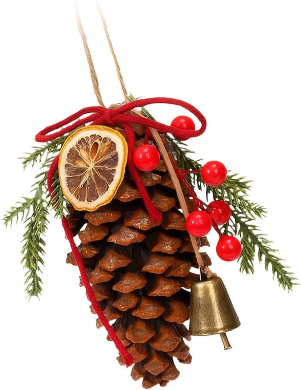 Grankoglepynt Hængende Ornament Med Tørret Appelsin Og Til Rustik Juleudsmykning