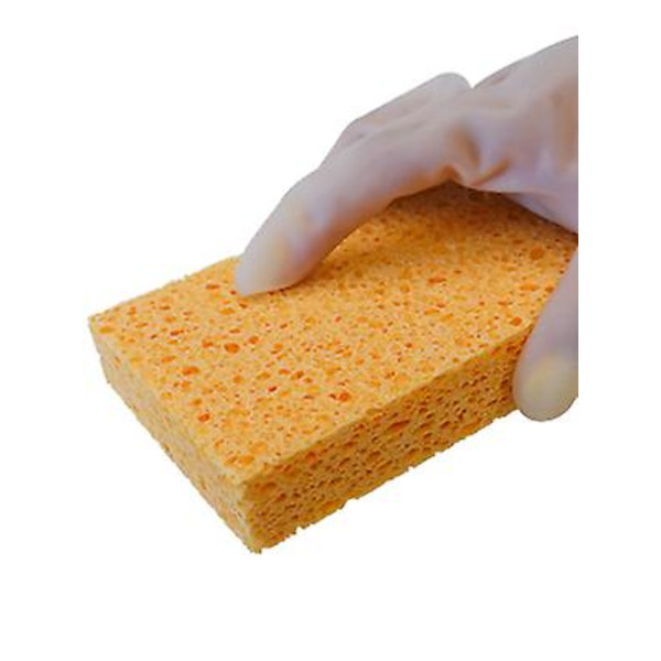 Svamp, kökssvampar, praktiska svampar, cellulosasvampar, disksvamp, natursvamp, biltvättsvamp, miljövänlig svamp