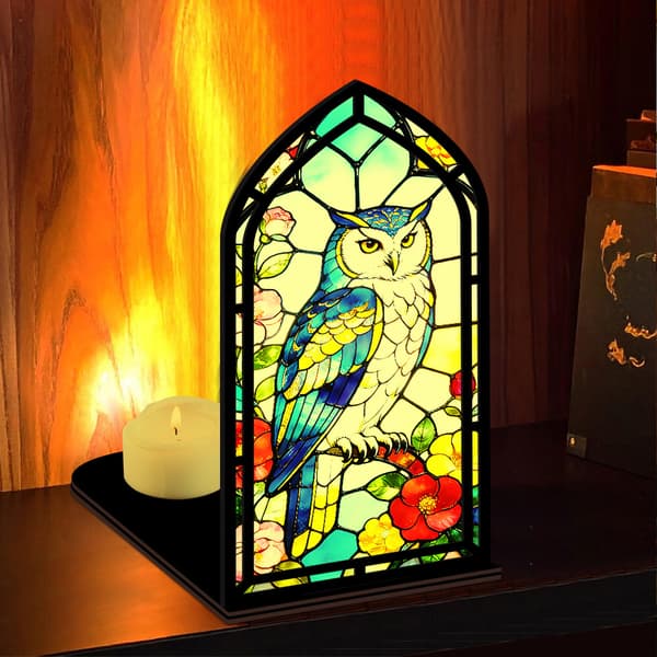 Fantasy bokkrok for bokelskere, med stearinlyslampe Owl