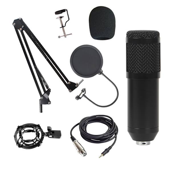 BM800 kondensatormikrofon set datorinspelning anti-pop Rund nät set silver