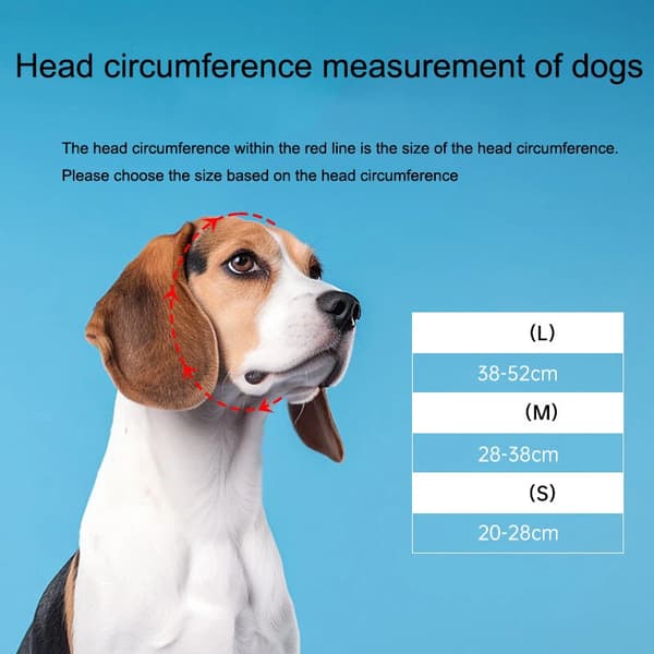 Hundebriller, UV 400-beskyttelse for store hunder (blå)