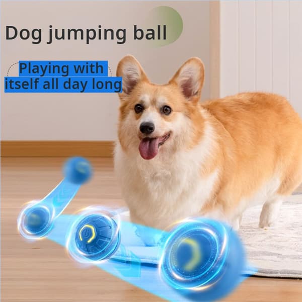 Leksaker för katt hund, automatisk studsande hundboll, interaktiv hundleksak (orange)