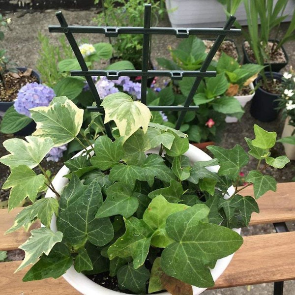 Krukväxtstöd, Spaljé för Inomhusväxter, Mini Växtstöd DIY Trädgårdsväxtstöd, överlappningsbar, Klätterspaljé Blomstöd för Krukväxter 6pcs