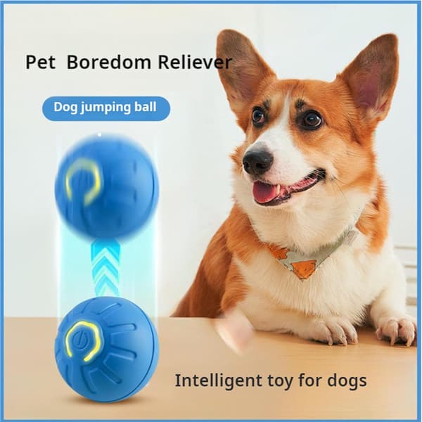 Leksaker för katt och hund, automatisk studsande boll för hundar, interaktiv hundleksak (blå)
