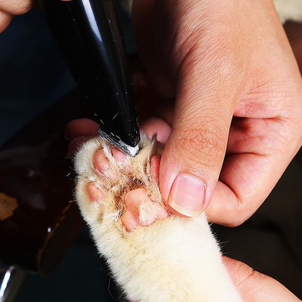 Elektrisk kjæledyrfothårtrimmer Hundepleie pedikyrklipper Black