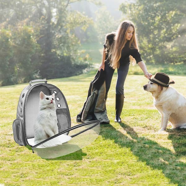 Pet Cat Hund Ryggsäck Stora valp bärväskor Space Capsule Grey