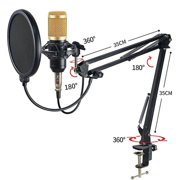 Professionelt indspilningsstudie Audio Interface Optagelse Ekstern Live Bm-800 Karaoke Mikrofon V8 Lydkort Kondensator Mikrofon