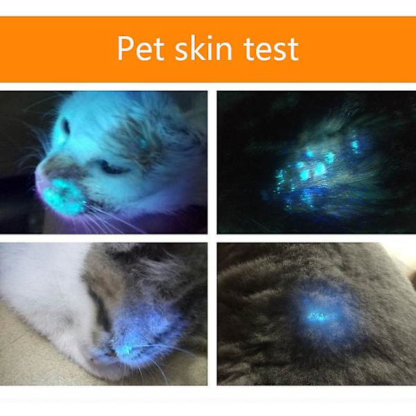 Lättvikts handhållen trälampa våglängd ultraviolett diagnostisk uv-hud svampdetektionsanalysator + ficklampafunktion