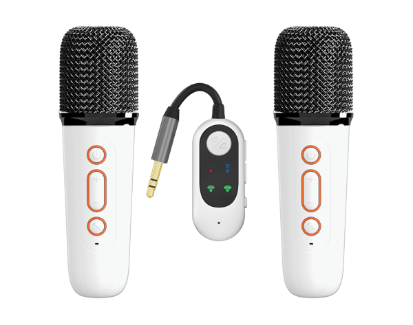 Bluetooth-karaokekaiutin kahdella mikrofonilla, RGB-värikäs valostereo