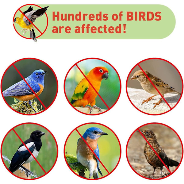 45m Anti Pigeon Bird Repeller Tape Dobbeltsidet Anti Bird Repellent Tape Skinnende holografisk fugleafvisende tape til at skræmme fugle Fugleskræmmere fugle