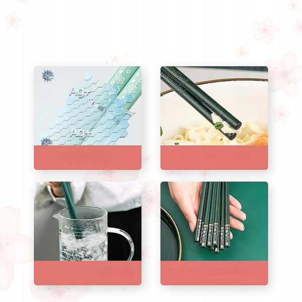 Sushi Set med 5 par matpinnar Type3