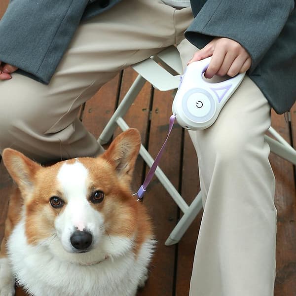 Hundkoppel med lätt automatiskt infällbart hundkoppel 5M Orange