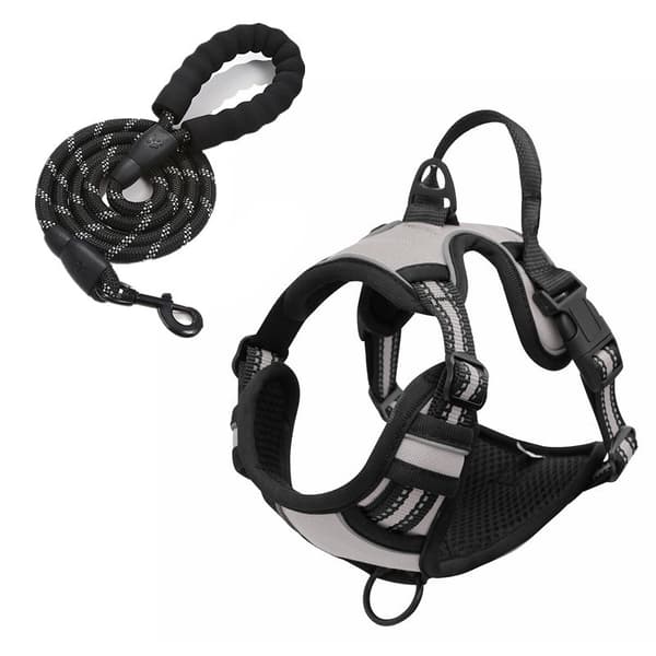 Hundesele, \"No-Pull\" med bånd, størrelse M for 7,5 - 17,5 kg (grå)