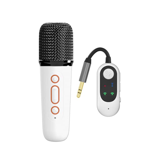 Bluetooth-karaokekaiutin mikrofonilla, RGB-värikäs valostereo